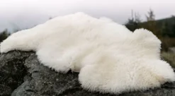 Sheepskin Rug Ivory